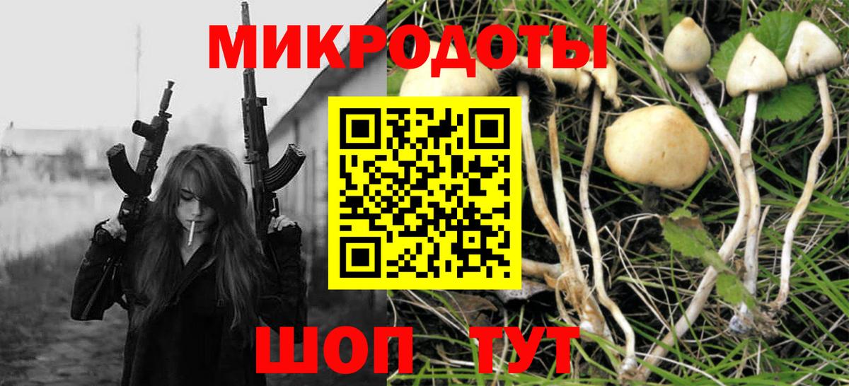 Псилоцибиновые грибы Cubensis Воркута